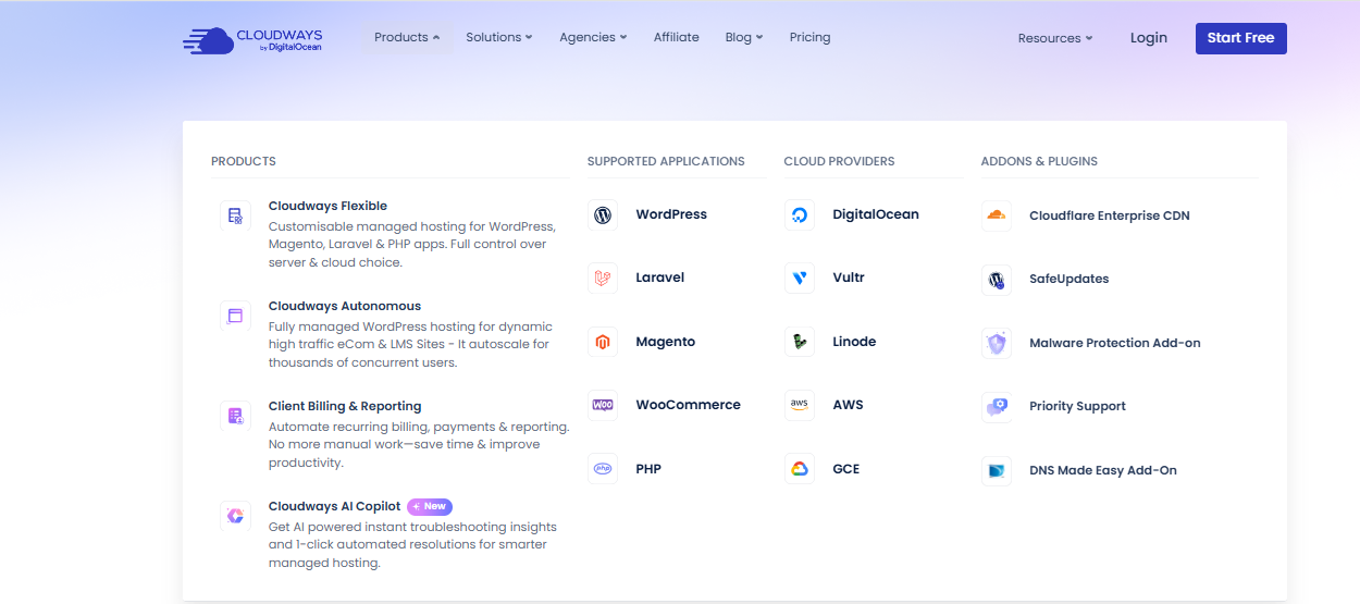 Cloudways dashboard interface — server management made simple