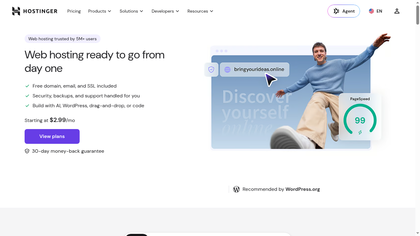 Hostinger web hosting plans screenshot showing Premium and Business pricing